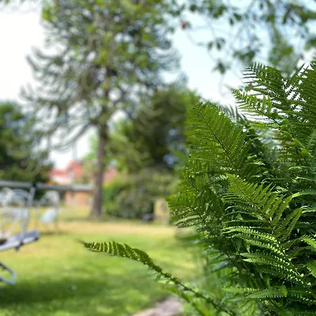 Zum Hanseaten Affittacamere